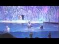 China's Marine Park Boom Is Driving the Capture of Whales & Dolphins | Captive | TakePart