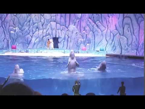 China's Marine Park