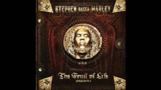 Stephen 'Ragga' Marley - Revelation Party ft. Jo Mersa Marley