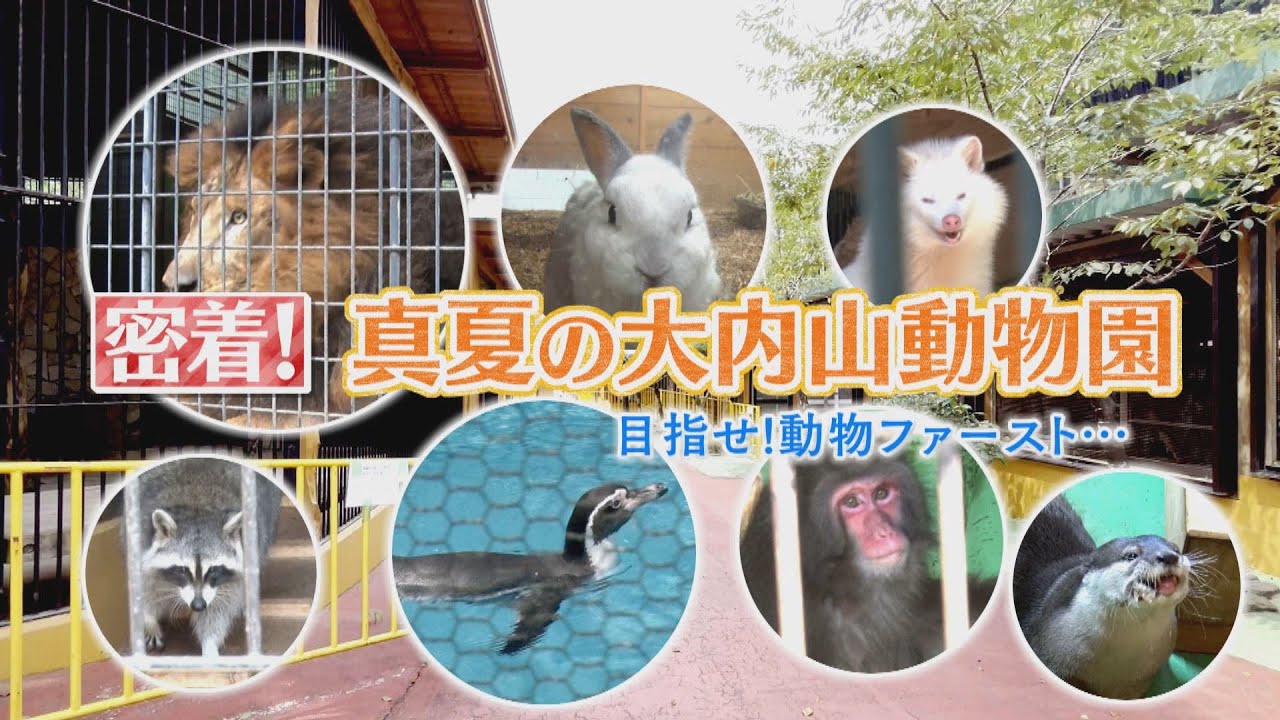 目指せ！「動物ファースト」　三重・大内山動物園の舞台裏に密着　真夏の炎天下で新人飼育員が大奮闘！