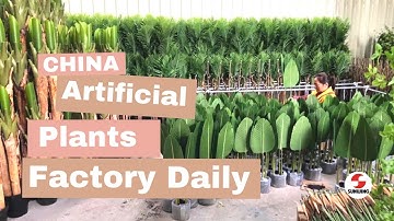 Sunwing Faux Plants Manufacturer | Artificial Plants Factory Daily Show
