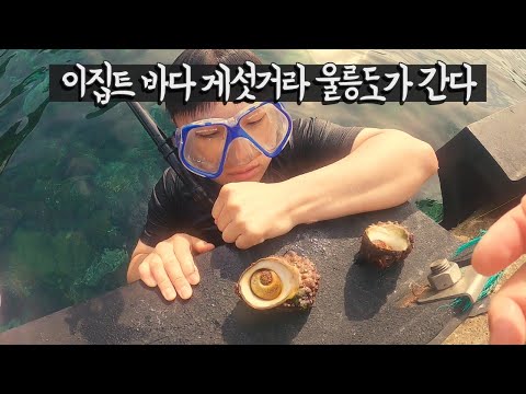 탈한국급 바다 울릉도에 가보자 【우리나라8】