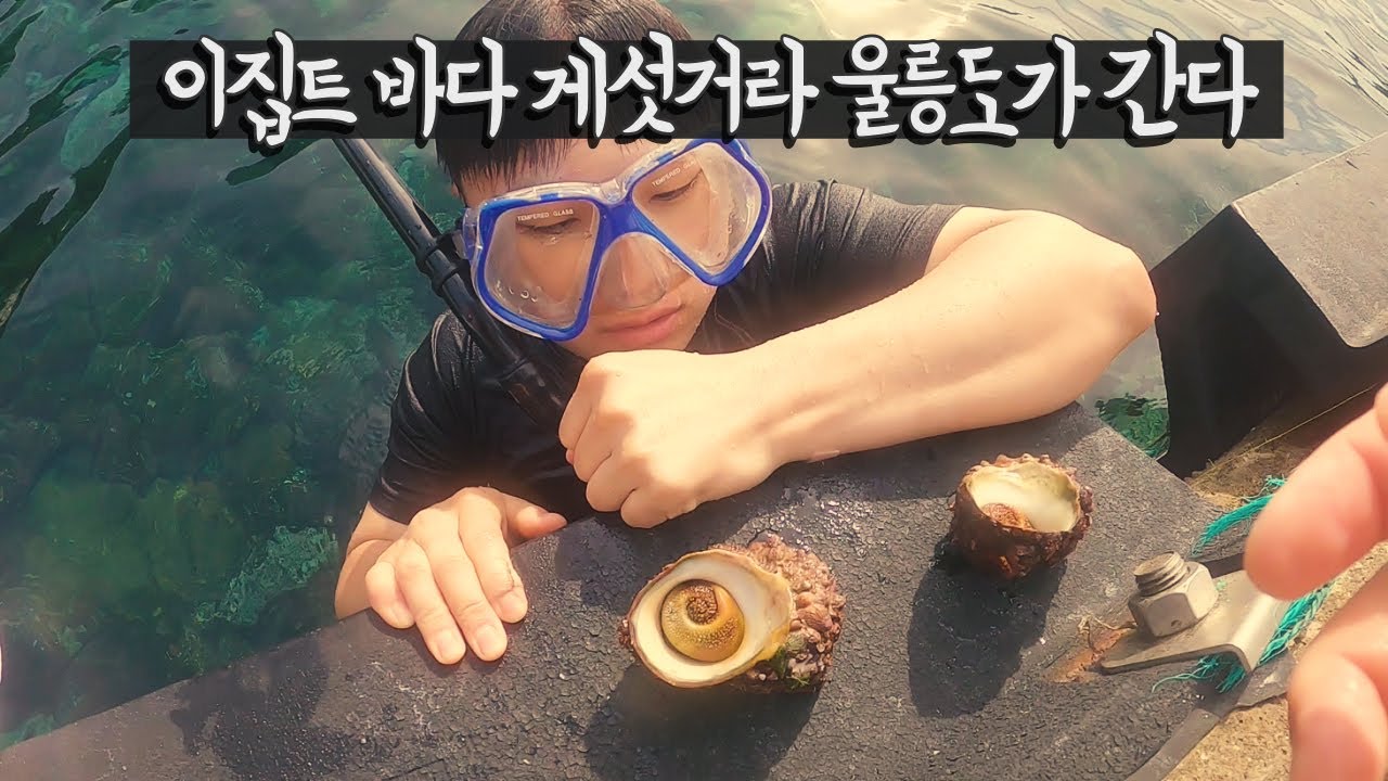 탈한국급 바다 울릉도에 가보자 【우리나라8】