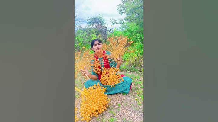 మా పల్లెటూరు😍#village #comedy #funny #shorts #youtubeshorts #youtube #viralshorts #reels #explore