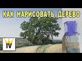 Как нарисовать дерево ? Живопись маслом. Пейзаж.