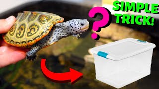 Easily Keep Your Turtle Tank CLEAN!