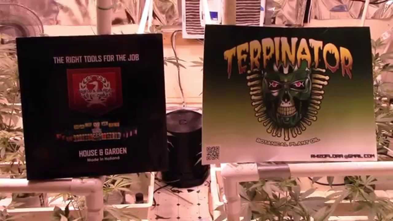 TERPINATOR Side By Side ep1-6 using House & Garden, 9 lb Hammer No Co2
