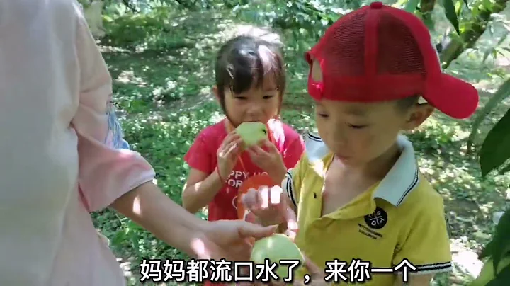 广东妹嫁江西，第一次吃过这么好吃的桃子，就是有点小贵 #乡村 #记录生活 #vlog #远嫁 - 天天要闻