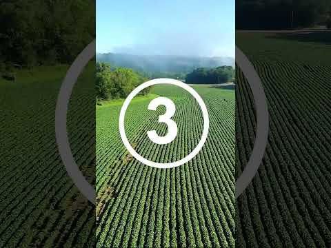 Топ-6 стран по