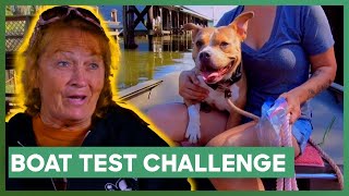 Rescue Dog Must P Boat Test Before Adoption Pit Bulls & Parolees