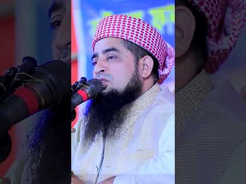 আহ্ কি মূল্যবান কথা শুনে চোখে পানি চলে আসলো ইলিয়াছুর রহমান জিহাদী