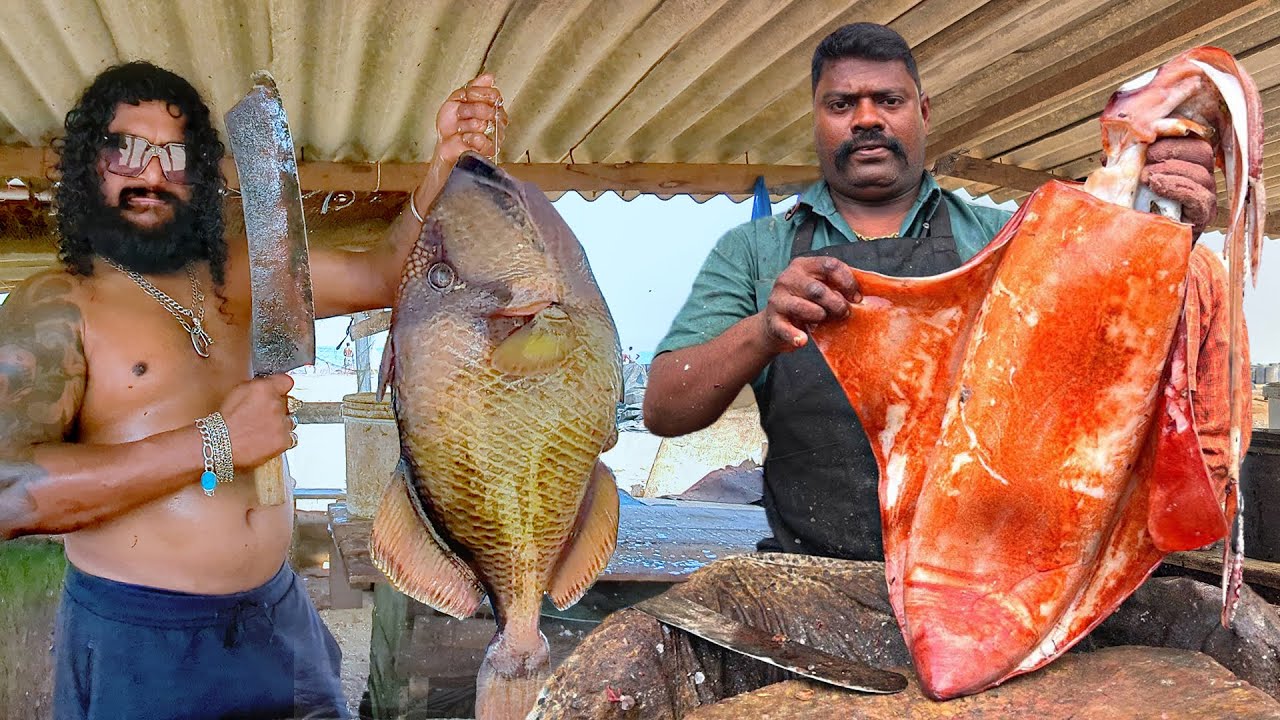 Amazing Master Cutting Skills! Mr. Selvam vs. Mr. Ravi’s Epic Fish Cutting Duel! Face to Face