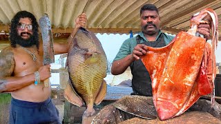 Download Lagu Amazing Master Cutting Skills! Mr. Selvam vs. Mr. Ravi’s Epic Fish Cutting Duel! Face to Face MP3