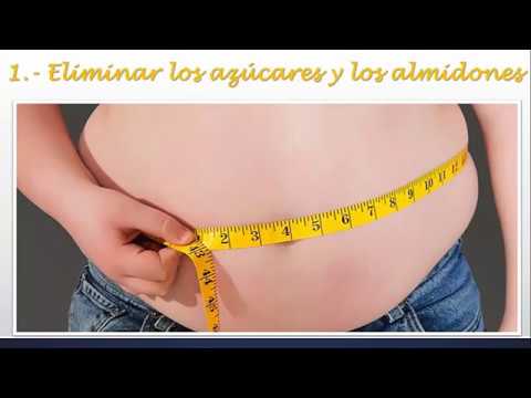 sugerencias de gran alcance en el poder del metabolismo frank suarez pdf