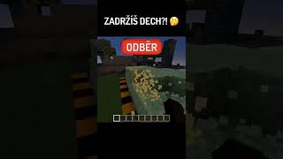 Zadržíš DECH Než Zničím End Biom?! 😱 #shorts #minecraft