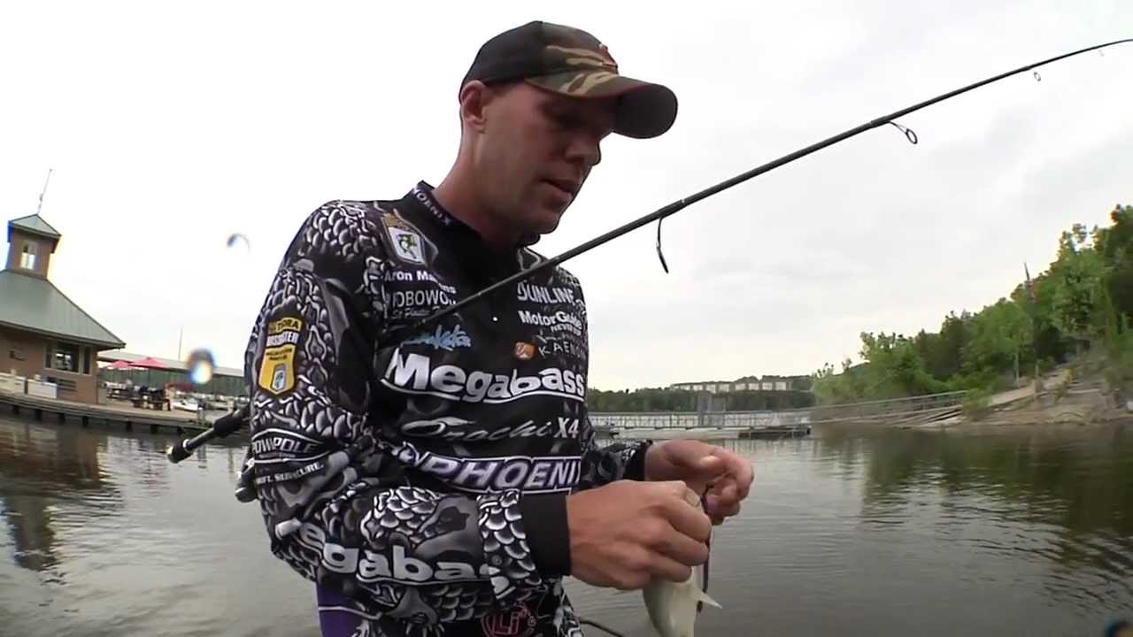 Davis Bait Aaron Martens Shaky Head 