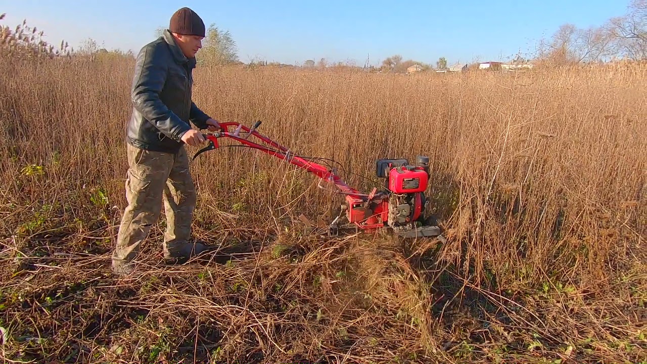 мотоблок зубр вспашка огорода. мотоблок вспашка. вспашка целины мотоблоком. вспашка земли мотоблок нева. вспашка целины мотоблоком.