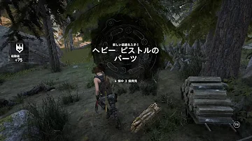 ライズオブトゥームレイダー チャレンジ