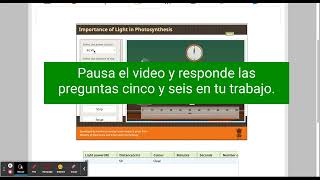 Spanish Photosynthesis Virtual Lab