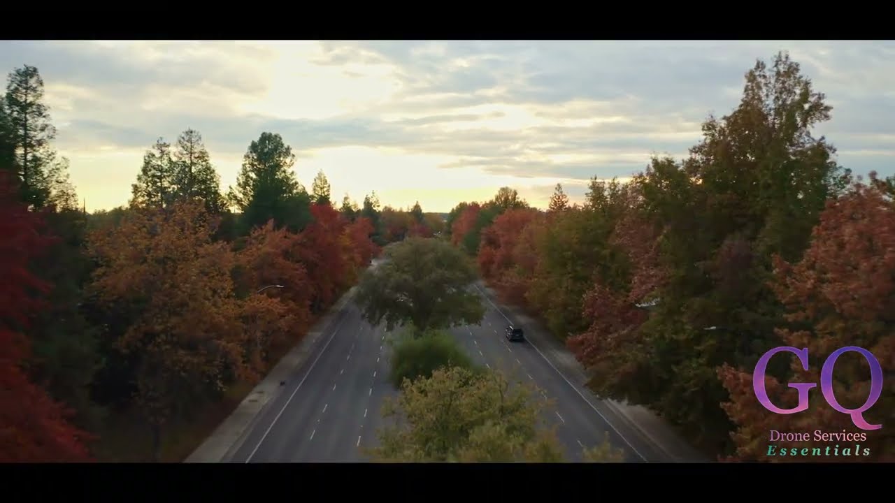 Street in the Fall (Elverta Road Antelope CA, 95843) / Essentials