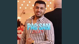 Pao sam (Mr.Black)