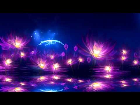 Video BACKGROUND HOA SEN - youtube