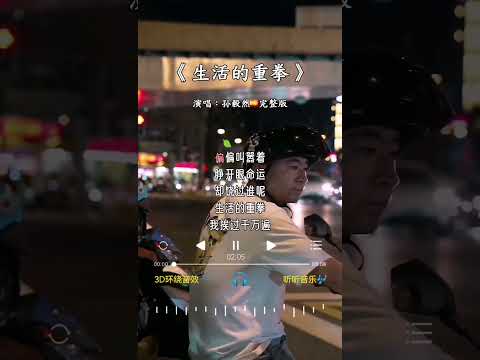 孙毅然 的《生活的重拳》