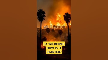 California Wildfire How It Started? #california #losangeles #lafires #wildlife