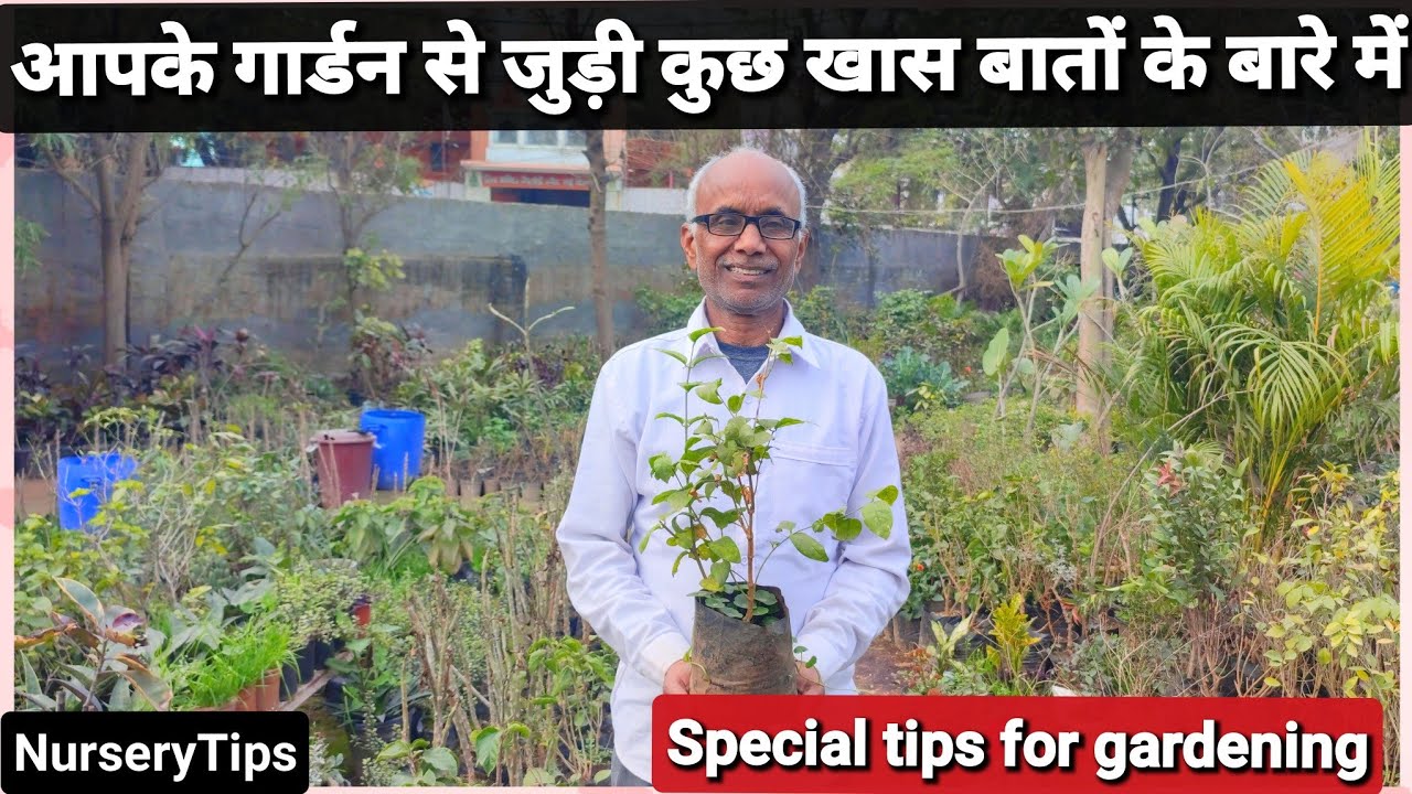जानिए आपके गार्डन से जुड़ी कुछ खास बातों के बारे में | Special tips for gardening | NurseryTips 