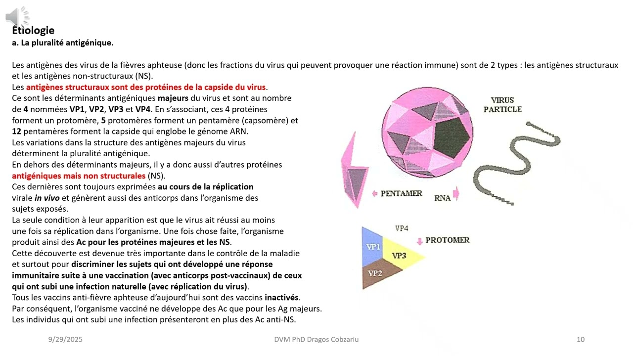 CURS 3 Cap3 Fièvre aphteuse FRA 25 26