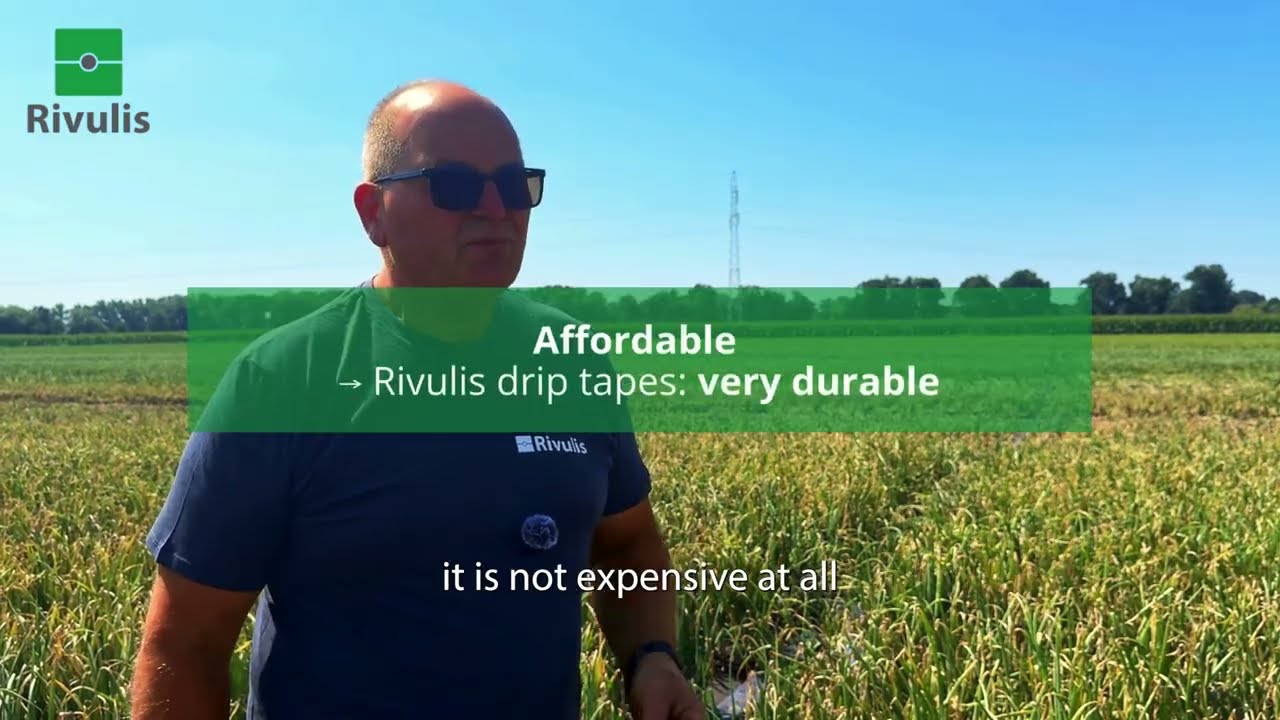 Drip Irrigation in Open Field Crops: A Profitable Choice for Onion Production