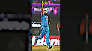 Mohammed Shami On Fire In World Cup