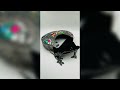 Video Image