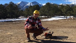 How Wood is Made!! - Sam’s Toolbox Learns Where Wood Comes From - How It’s Made for Children