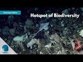Seascape Alaska: Hotspot of Biodiversity
