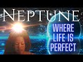 Neptune - Where life is perfect