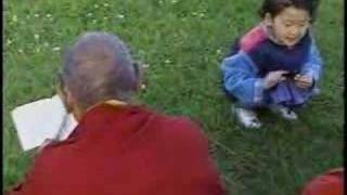 Beck In Tibetan Freedom Concert 1996