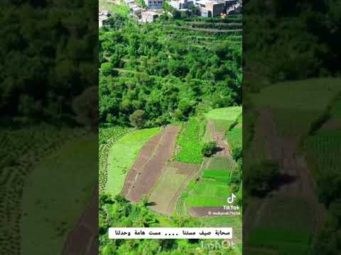 سحابة صيف مستنا أناشيد يمنية قديمة اكسبلور تيك توك ترند لايك متابعه