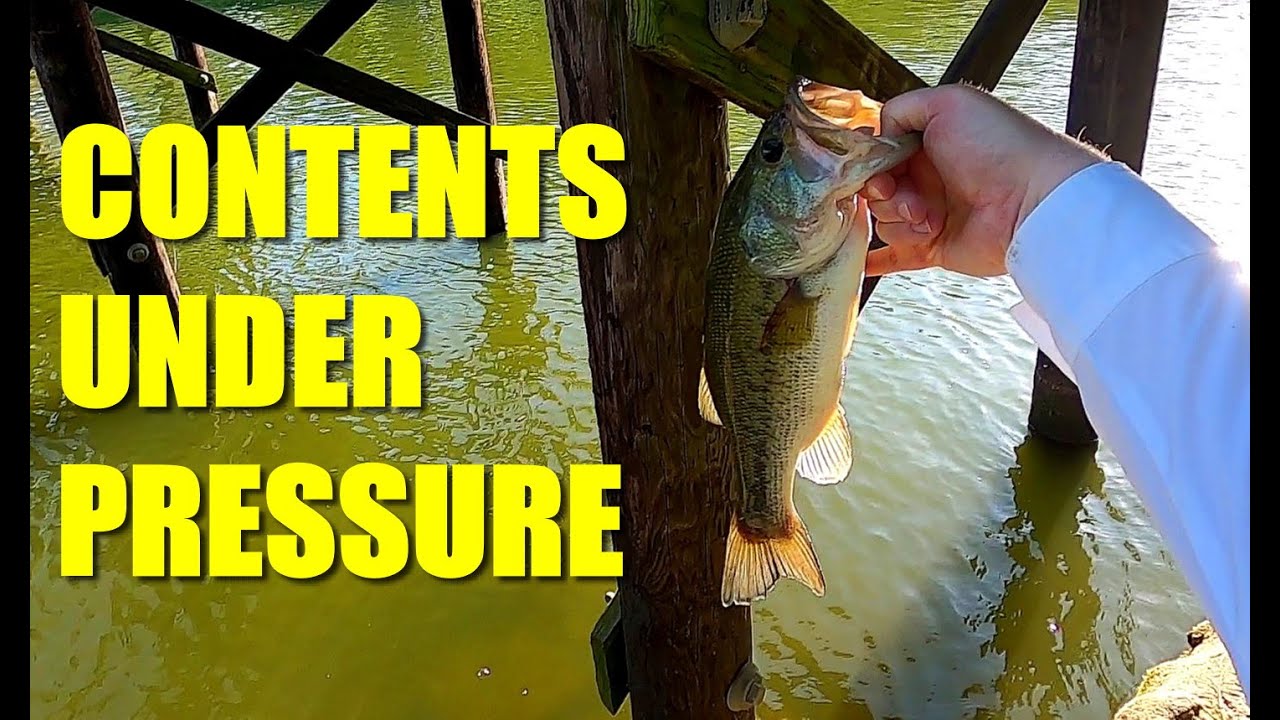 Going Small for Pressured Fish - YouTube