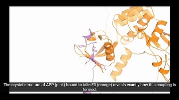 A new theory of a mechanical basis of Alzheimer