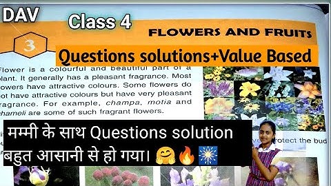 DAV Class 4 Science Ch-3 Flowers and Fruits Que-Ans + Value Based 2023 #learnwithlearner #davclass4