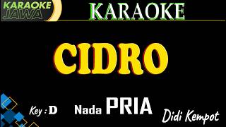 Karaoke Cidro   Didi Kempot  Nada Pria  Karaoke Tembang Jawa Tanpa Vokal  Lirik