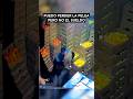 El Sueldo #videojuegos #gamer #shorts #humor #memes #edits #clips #gamingmemes #viral #gaming
