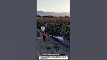 Agricultural Fogging Tool Innovation for Pest Control