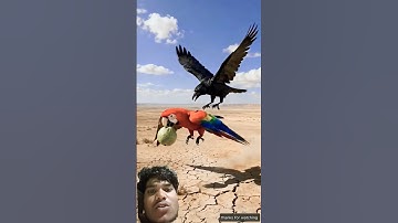 Kangaroo watered the guava tree and the monkey destroyed it #ai #tree #save#kangaroo