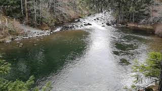 [[Nature_Walks;1080p x 60 fps];[20180401;84GfqvkRPfBeHs3u]] wootcrisp