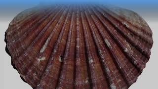 Maximo Software Guide: Optimize Asset Management & Improve Efficiency!