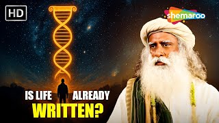 Is Life Already Decided? | Fate or Free Will? | Are We Just Puppets of the Cosmos?