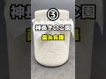 【クワガタムシ】幼虫の飼育におすすめの菌糸3選