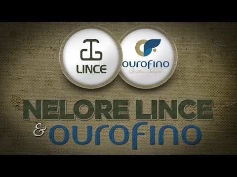 Lote 89   OURO 2366 2301 Copy